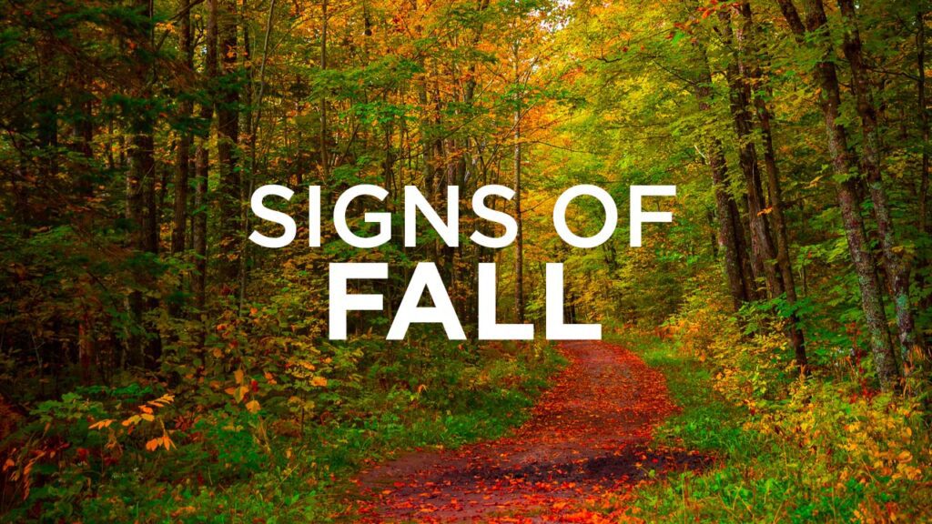 Signs of Fall