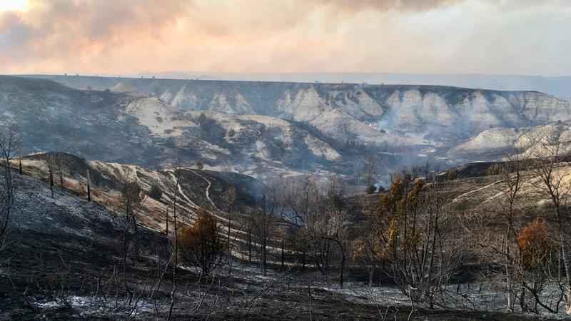 North Dakota Tourist Town Evacuated Statewide Wildfire Emergency 0618