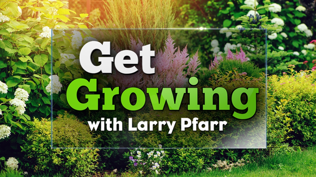 Get Growing with Larry Pfarr