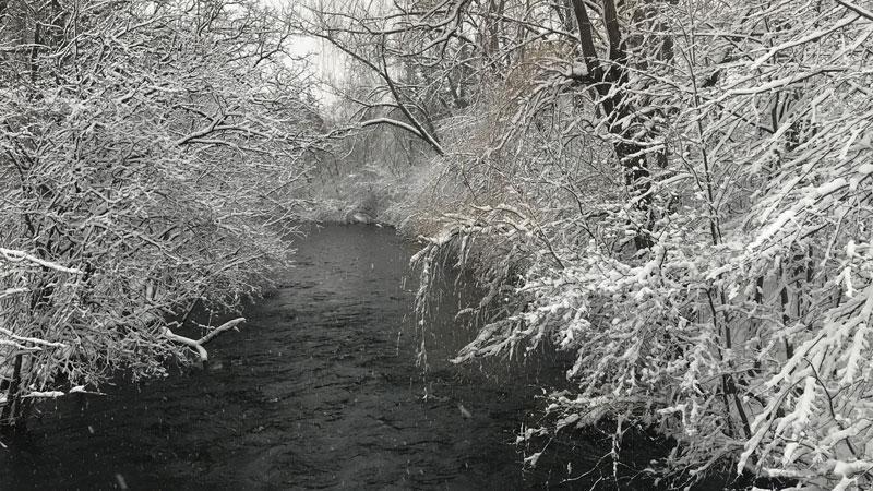 DNR invites Minnesotans to celebrate New Year's Day with guided hikes ...