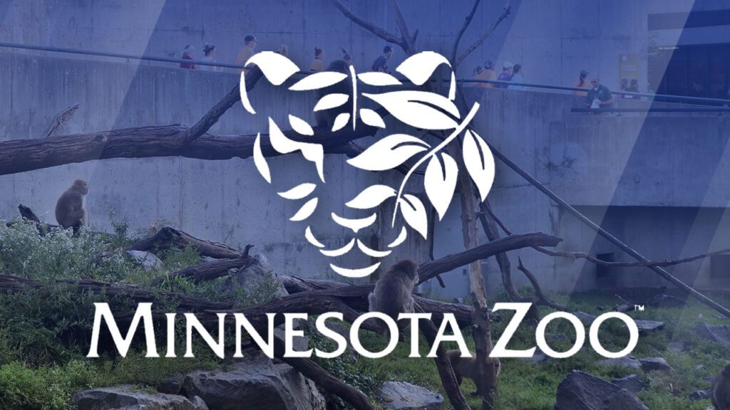 Minnesota Zoo introduces special summer nights for adults 5