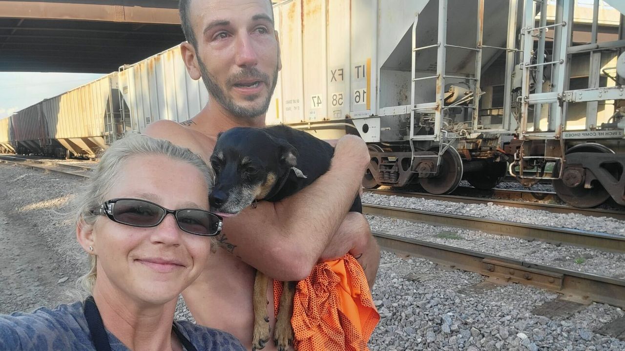 UPDATE: 2nd dog, Cooper, found by railroad workers after dog day care burglary