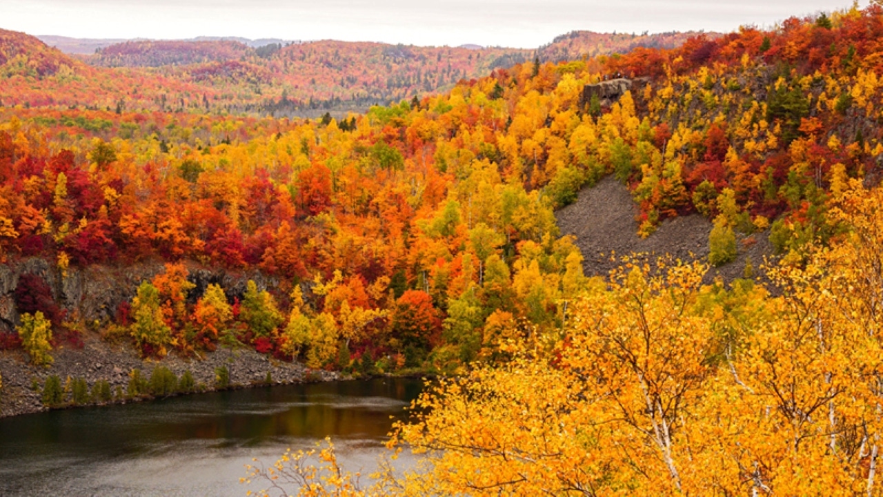 Fall color preview Where and when to see the best foliage in Minnesota