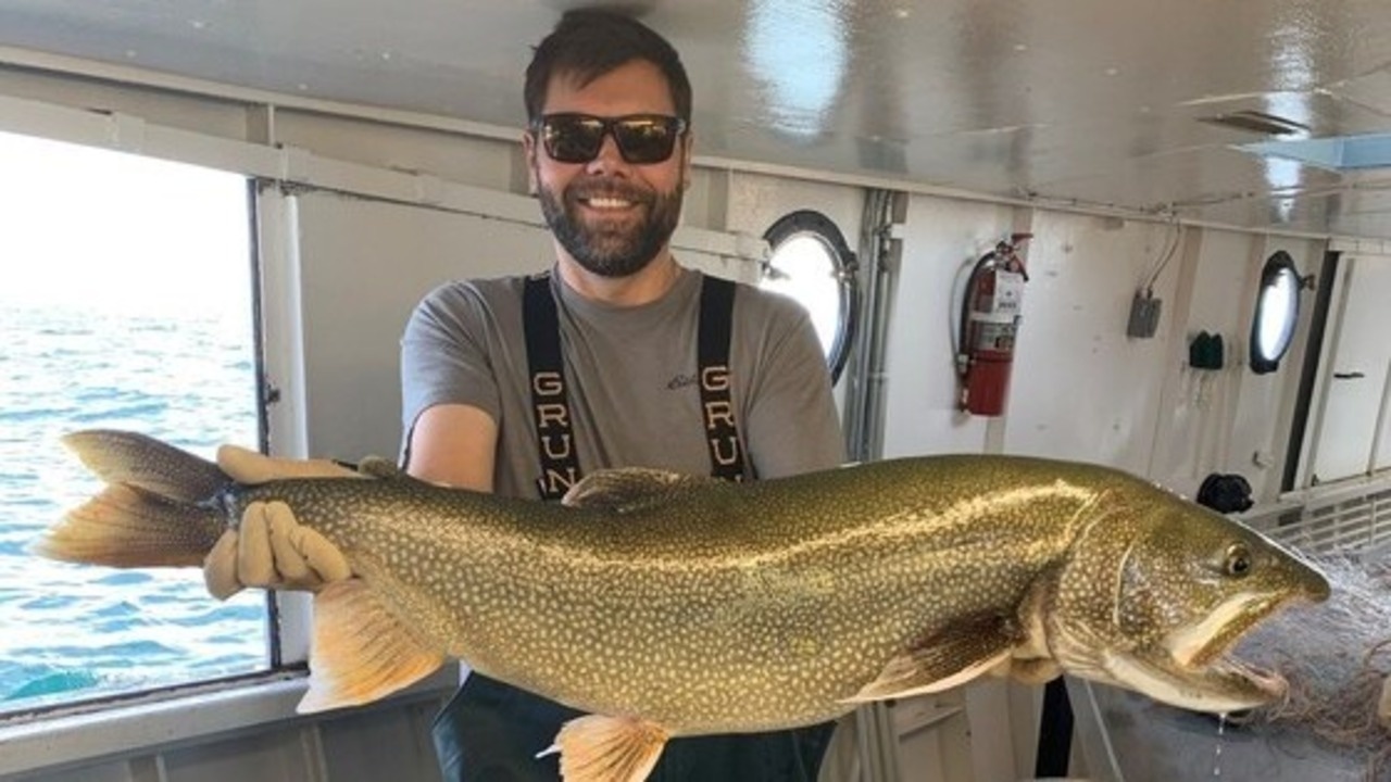 giant lake trout