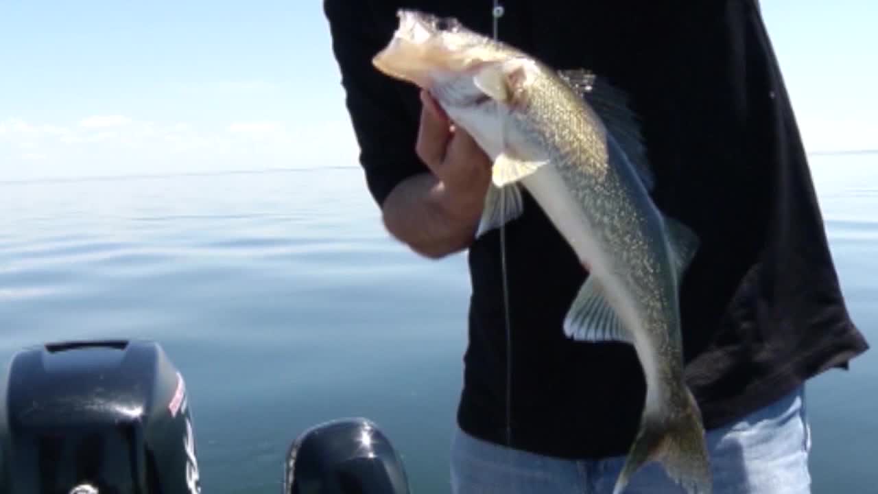 Walleye limit for winter season to decrease on Upper Red Lake, hold steady  on Mille Lacs Lake -  5 Eyewitness News