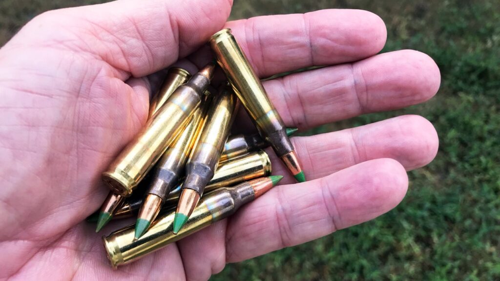 Dodge County officials warn people about the danger of stray bullets ...