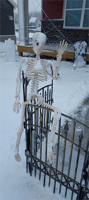 Halloween 2023 Skeleton viewer photo
