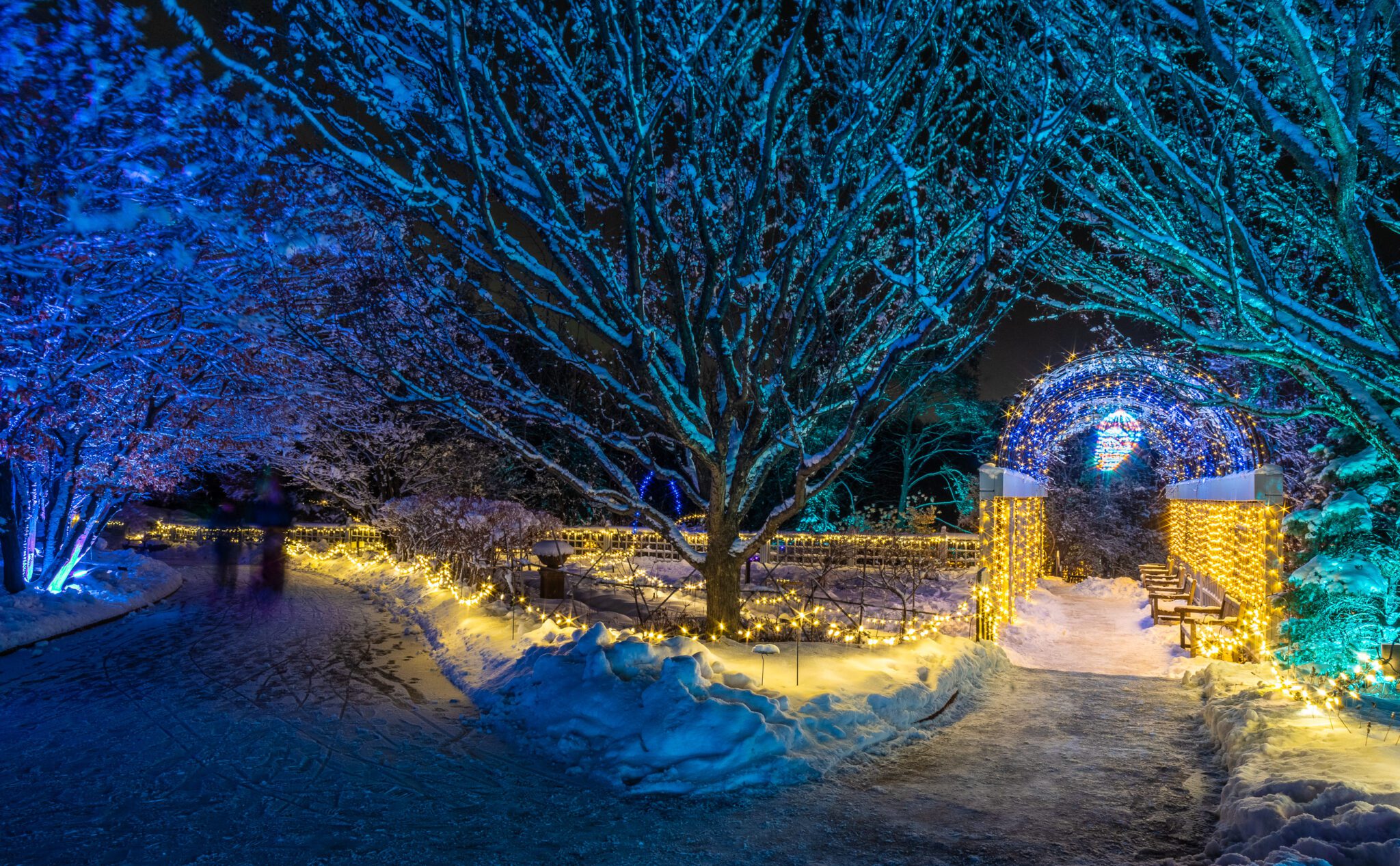 Winter Lights event kicks off Thursday night at Minnesota Landscape