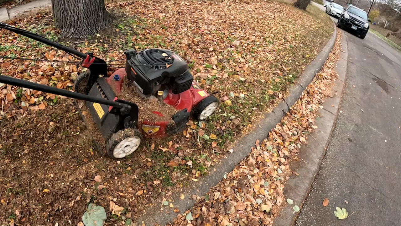 What to do with all those leaves before winter