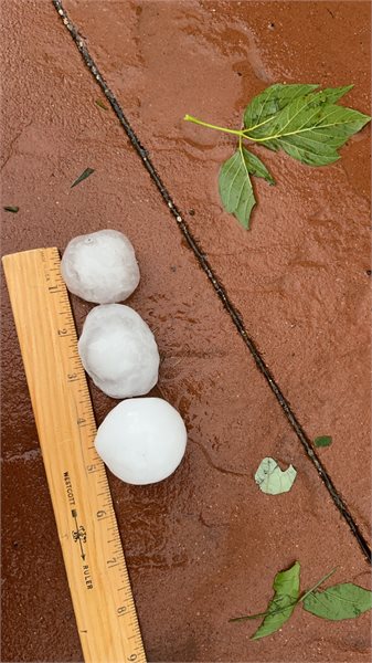 Tamie Barber Hail NE of Browerville 1