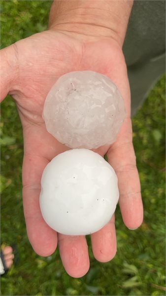 Tamie Barber Hail NE of Browerville 2