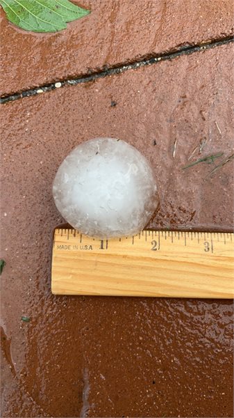 Tamie Barber Hail NE of Browerville 3